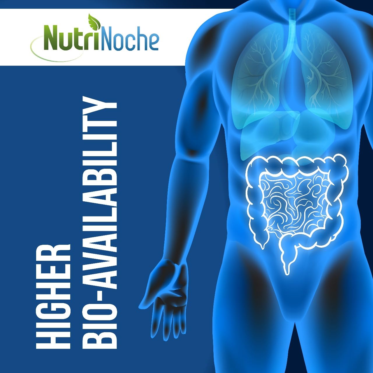 Pipette doseuse NutriNoche Cuivre Colloïdal facilitant le dosage précis.