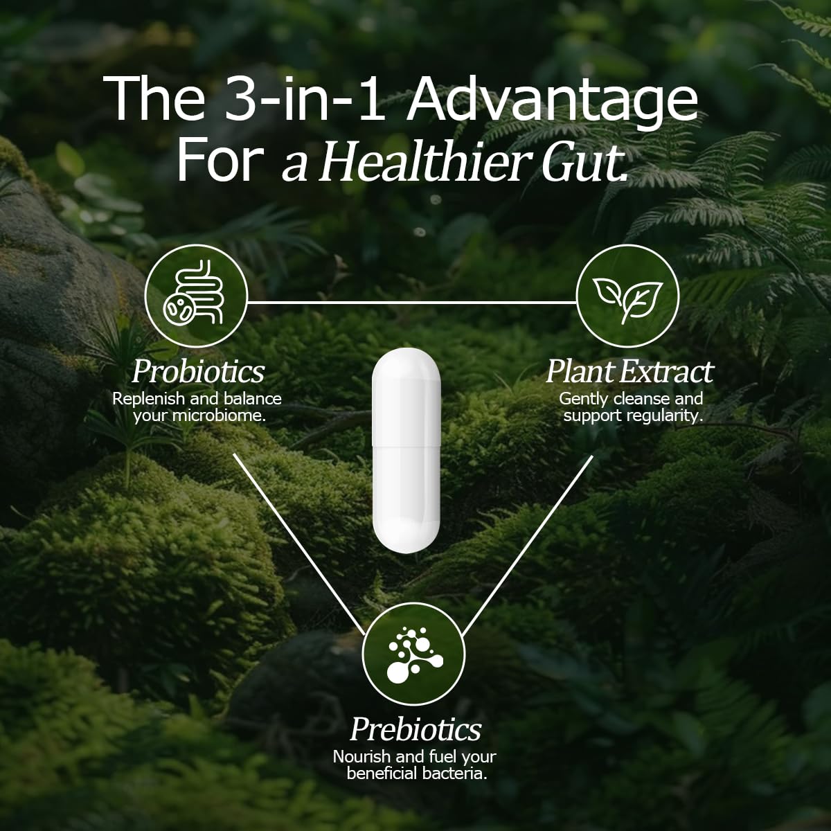 NutriShpere capsules probiotiques — mélange de 9 souches visibles dans l'image.