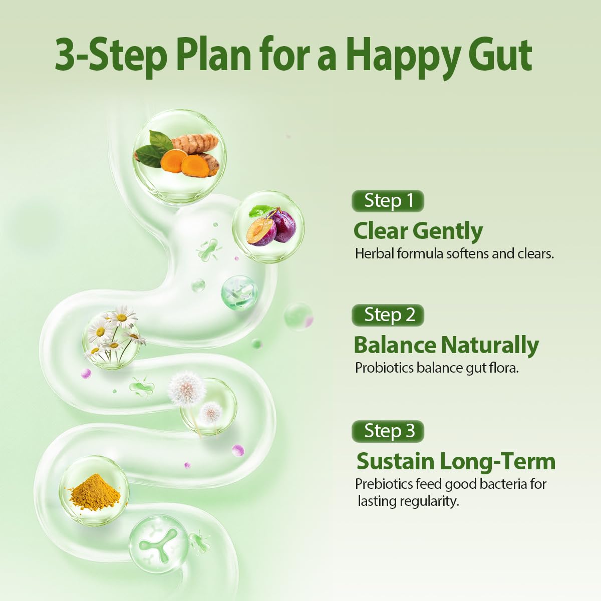 NutriShpere capsules probiotiques — extraits végétaux visibles pour potentiel soutien digestif.