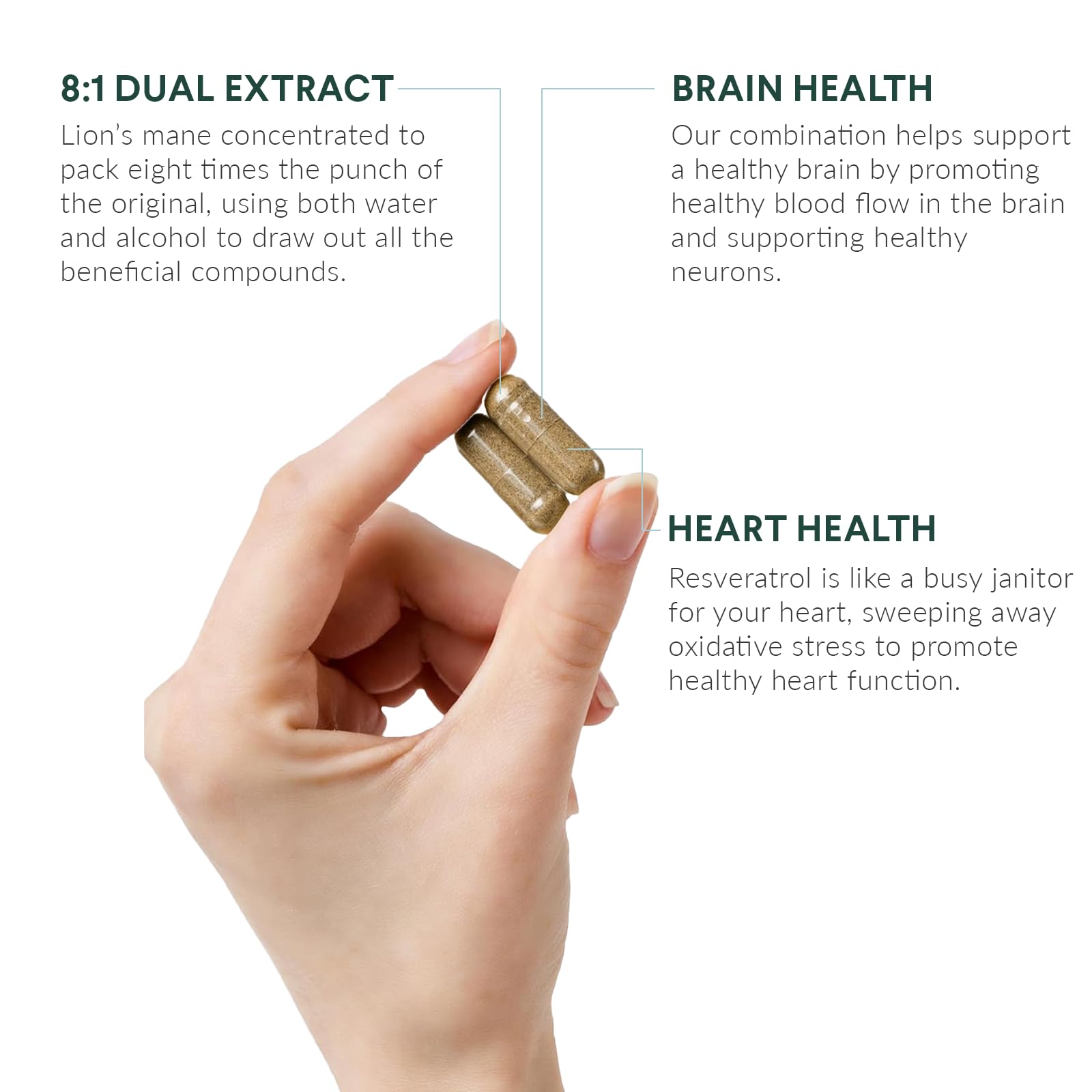 Nutritional Roots extrait crinière de lion 800 mg – composition concentrée.
