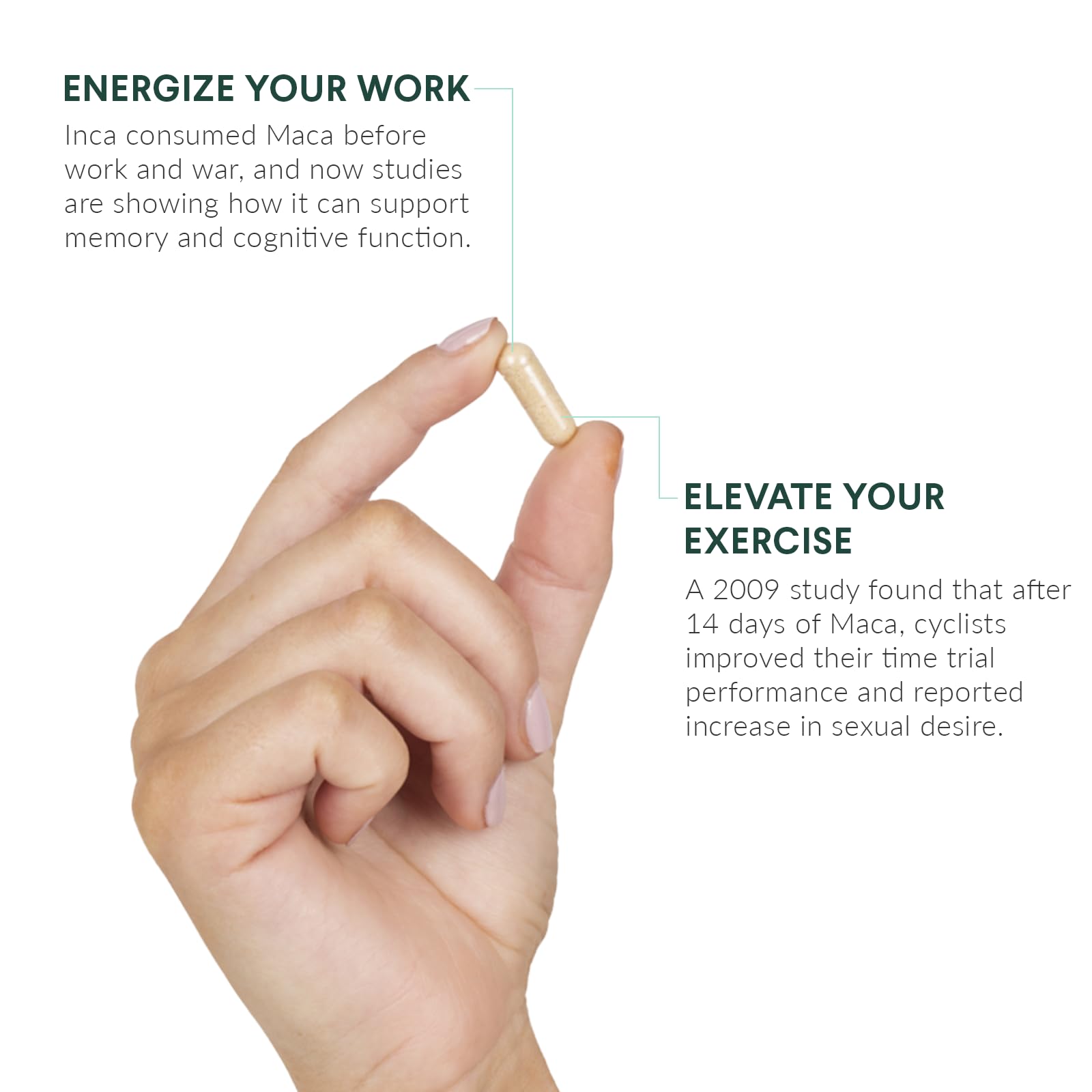 Nutritional Roots Maca gélatinisée – absorption maximale des macamides pour routine active.