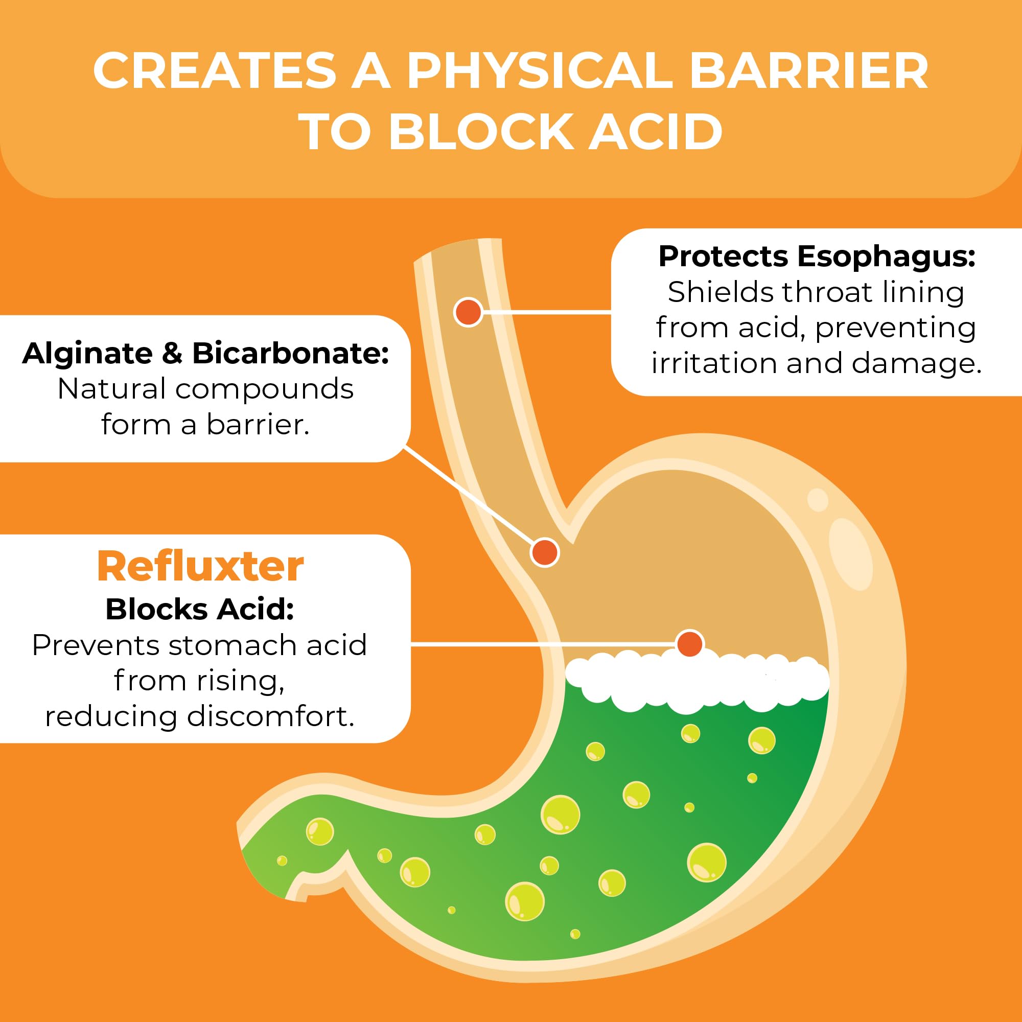 Nutritist Refluxter ingrédients alginate illustrés montrant la barrière d'acidité.