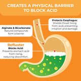 Nutritist Refluxter ingrédients alginate illustrés montrant la barrière d'acidité.