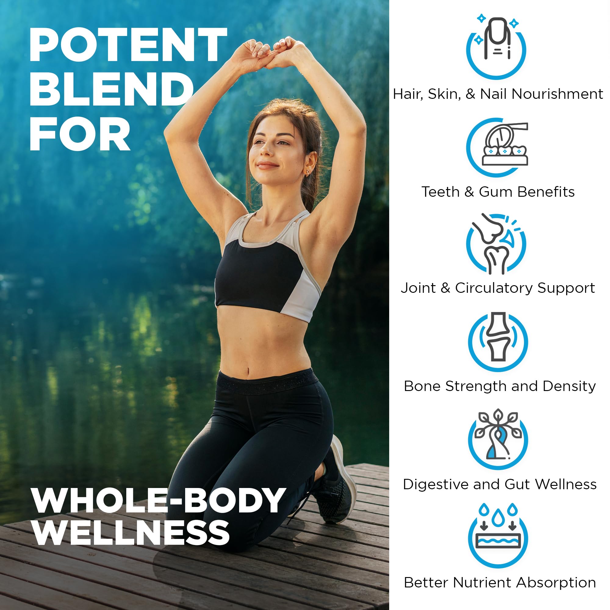 Nutrivein : deux gélules par jour, routine simple.