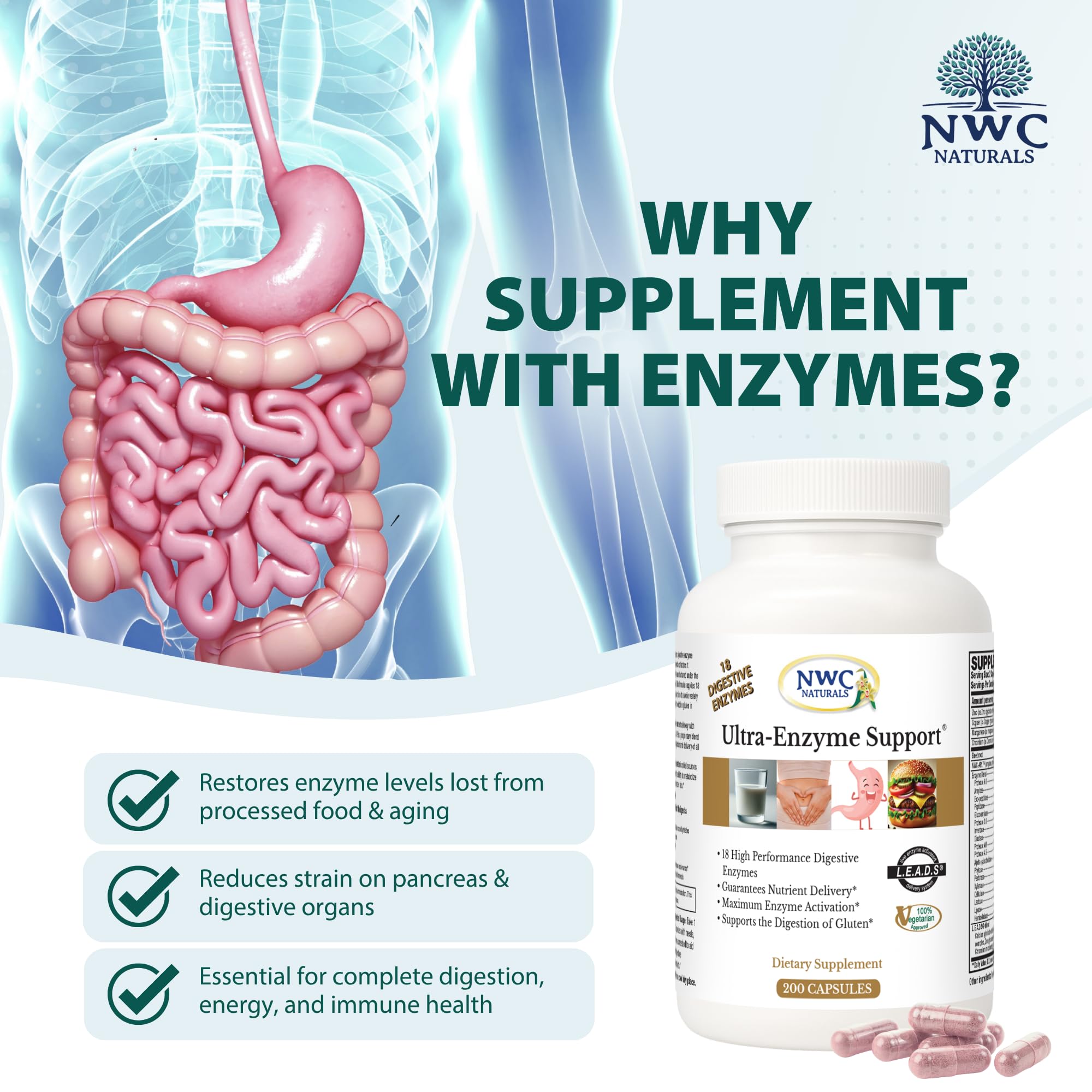 Étiquette NWC Naturals Ultra-Enzyme Support, informations clés sur la formule