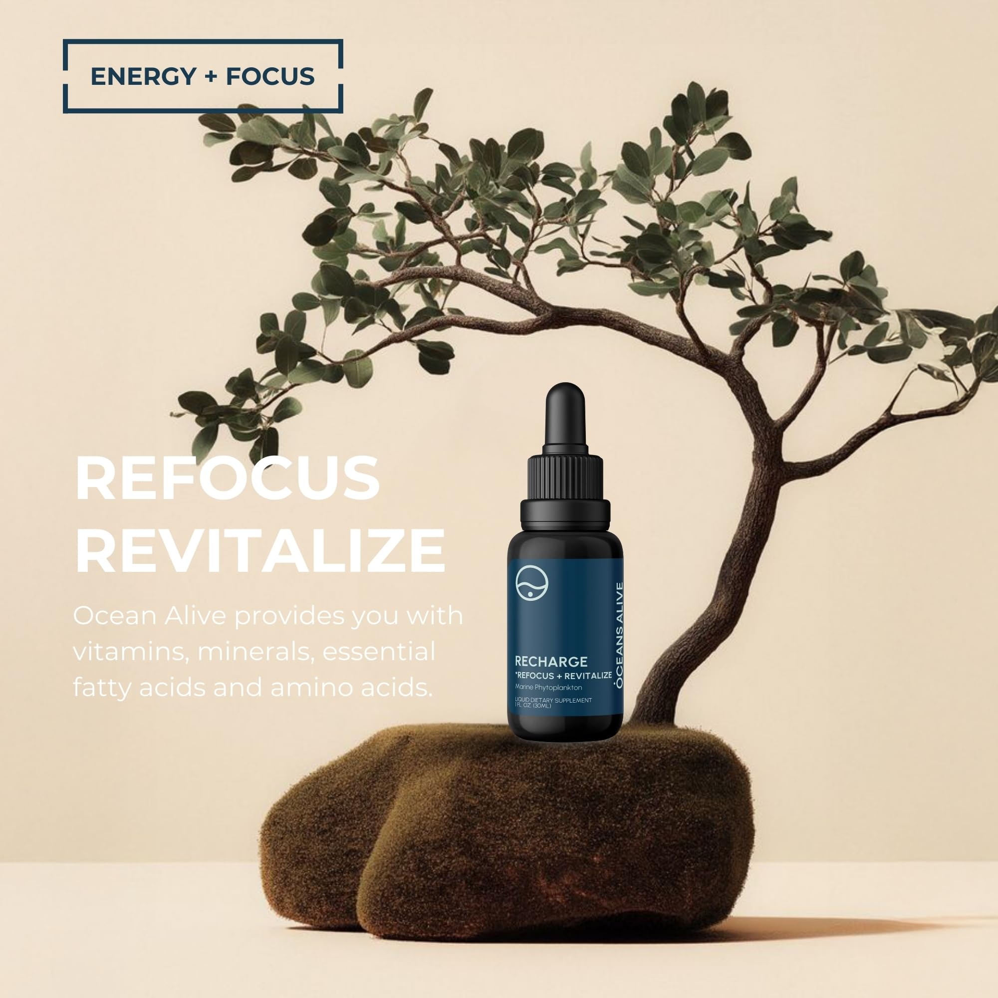 Phytoplancton marin Oceans Alive, riche en nutriments essentiels.
