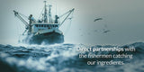 Oceanutra origine USA krill antarctique pur: traitement et encapsulation en Amérique.