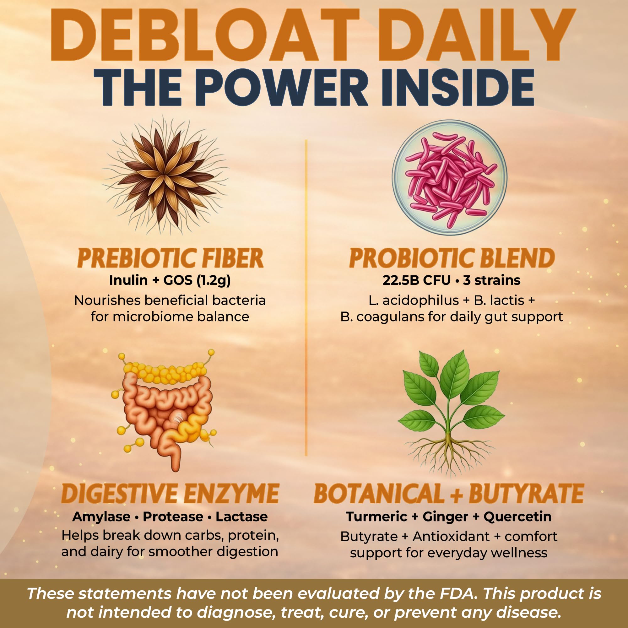 OCG Débloat Quotidien — enzymes digestives pour une digestion fluide.