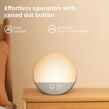 Odokee interface intuitive sans application simplifie le démarrage.