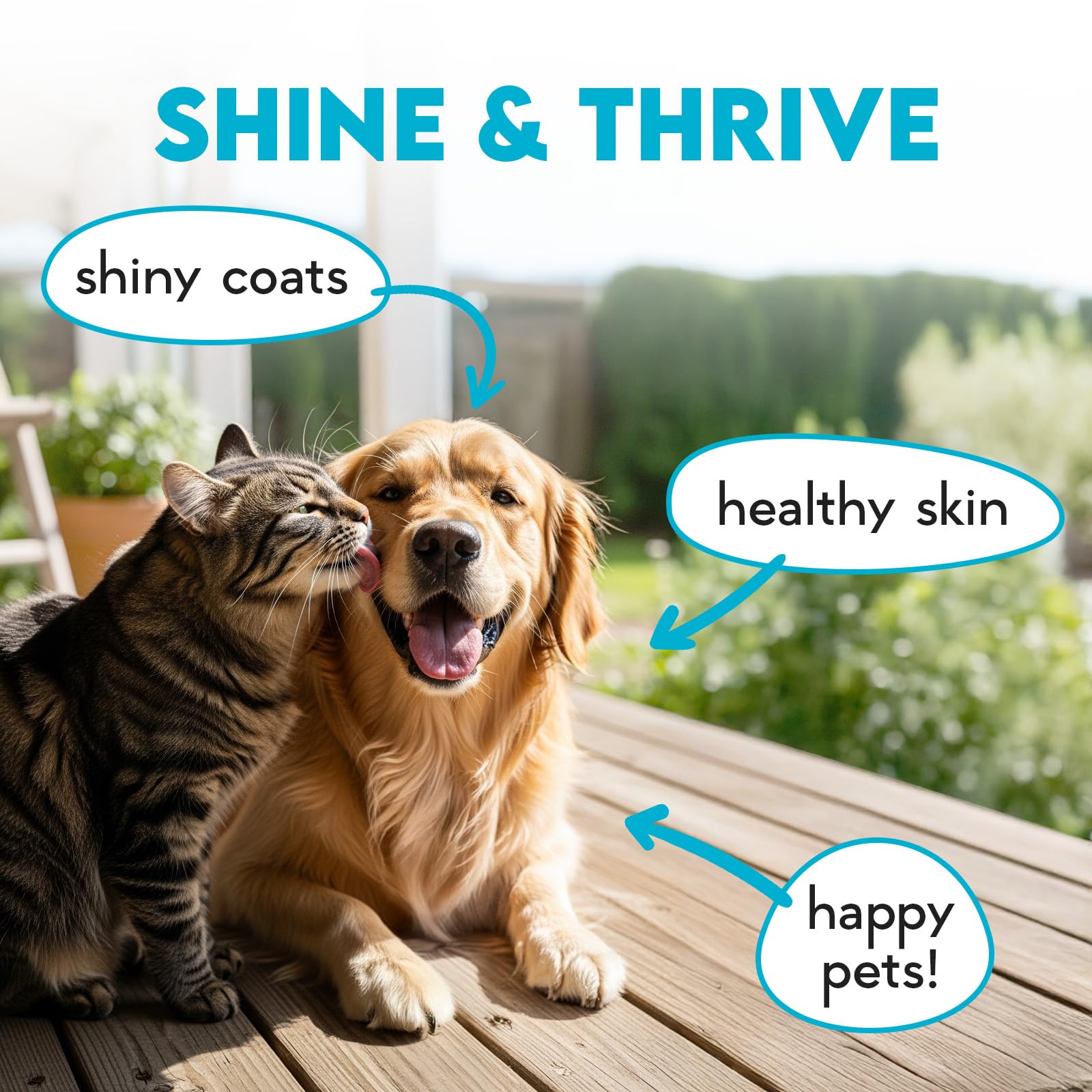 OKKÖBI peau et pelage chien — texture et nutriments potentiellement bénéfiques.