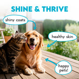 OKKÖBI peau et pelage chien — texture et nutriments potentiellement bénéfiques.