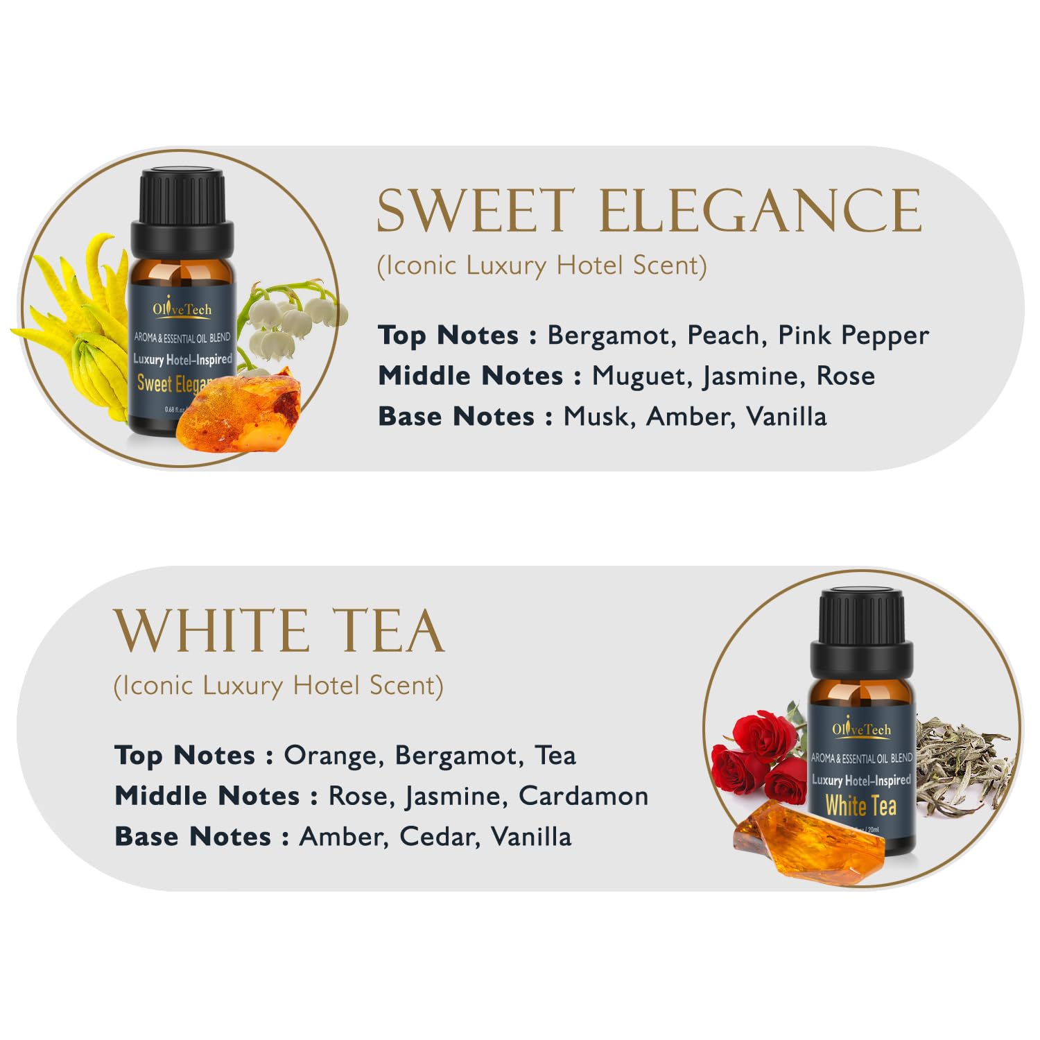 OliveTech Hotel Collection : coffret cadeau élégant, prêt e0 offrir.