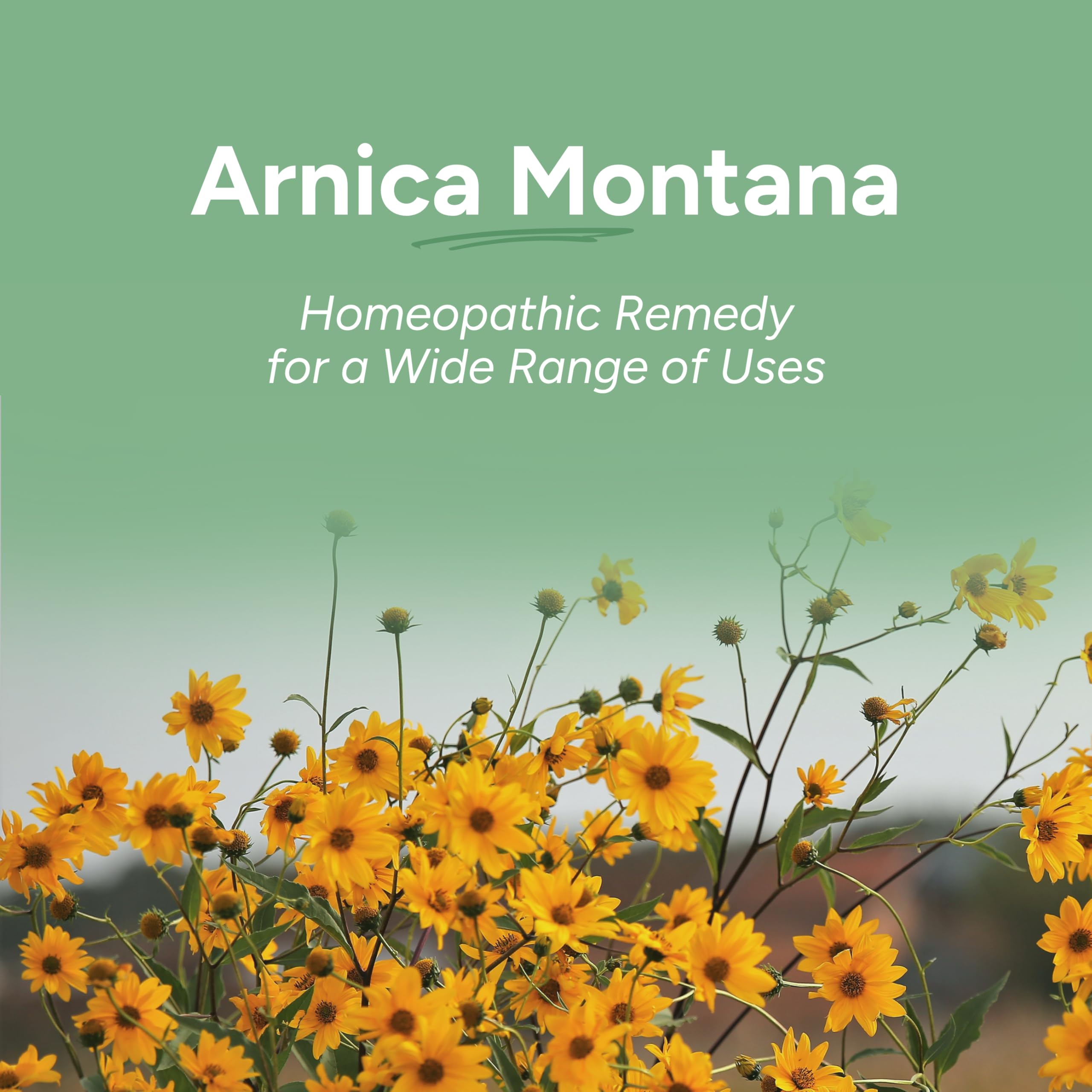 Produit sans lactose OLLOÏS Arnica Montana 12C adapté aux personnes intolérantes