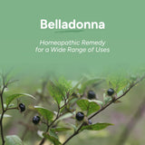 OLLOÏS Belladonna 30C : boîte de 80 pellets pour une utilisation quotidienne