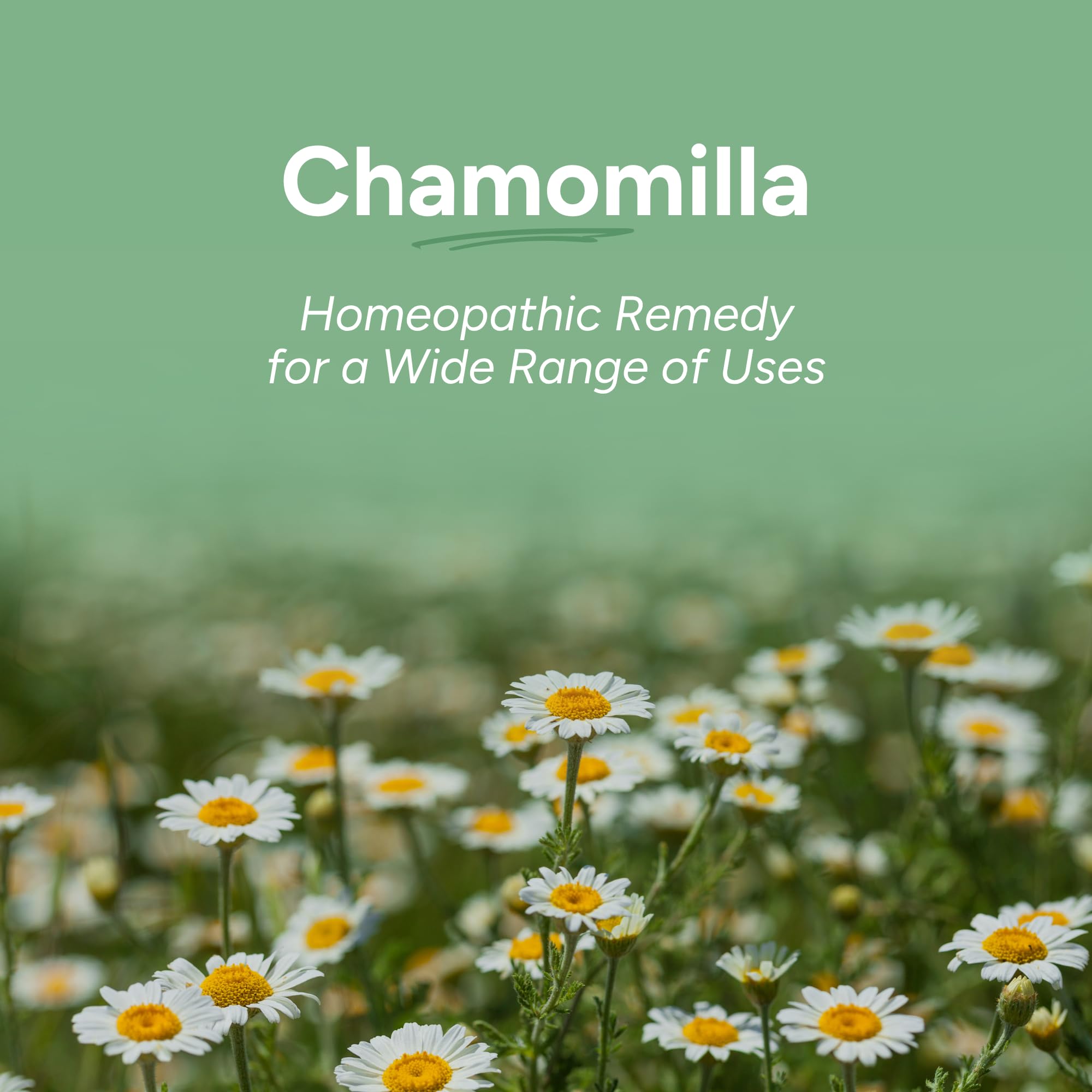 Boîte OLLOÏS Chamomilla emballage biologique et sans lactose.