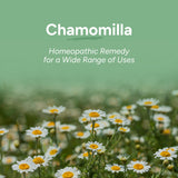 Boîte OLLOÏS Chamomilla emballage biologique et sans lactose.