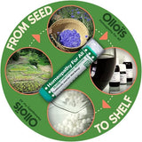 OLLOÏS Aconitum Napellus 30c: pellets à dissoudre sous la langue pour usage rapide.