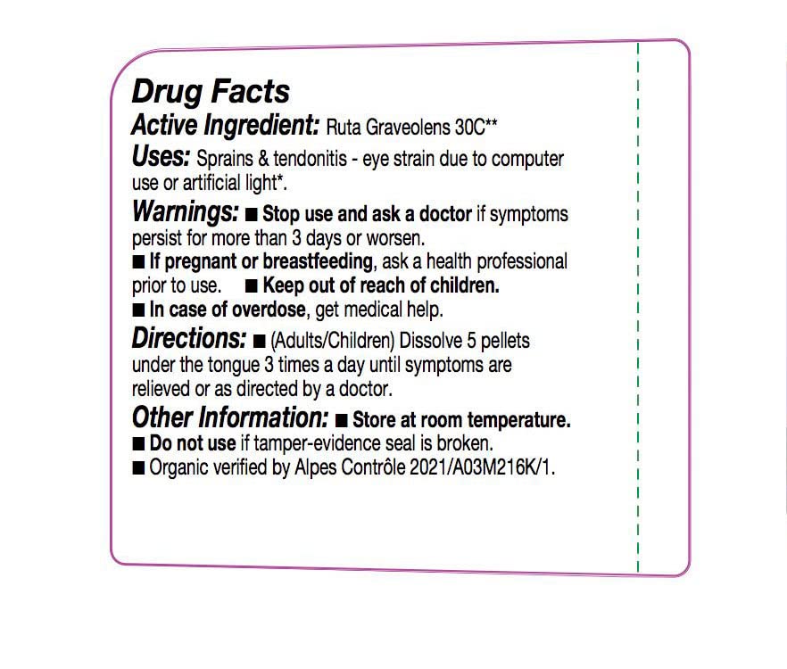 OLLOÏS Ruta Graveolens – Étiquette bio, sans lactose et végan, alignée à vos choix.