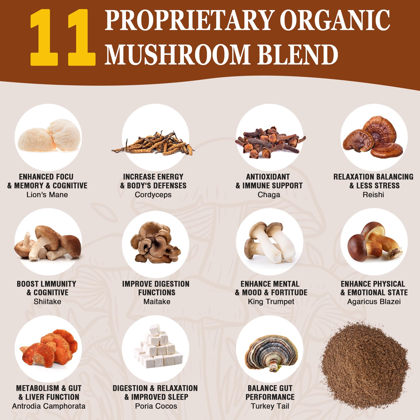 OLOBIO Café champignons 11 – poudre ultra-fine qui se dissout rapidement