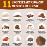 OLOBIO Café champignons 11 – poudre ultra-fine qui se dissout rapidement