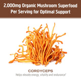 Poudre dans le café – infusion cordyceps pour énergie mesurée.