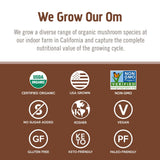 Infusion thé cordyceps – moment réconfortant et revitalisant.