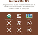 OM MUSHROOM Cordyceps – production californienne pour traçabilité et pureté.