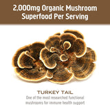 Culture californienne OM MUSHROOM Tramète versicolore, origine locale et responsable.