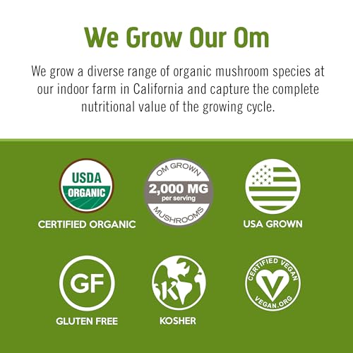 OM MUSHROOM LION-MANE POUDRE : soutien à la concentration.
