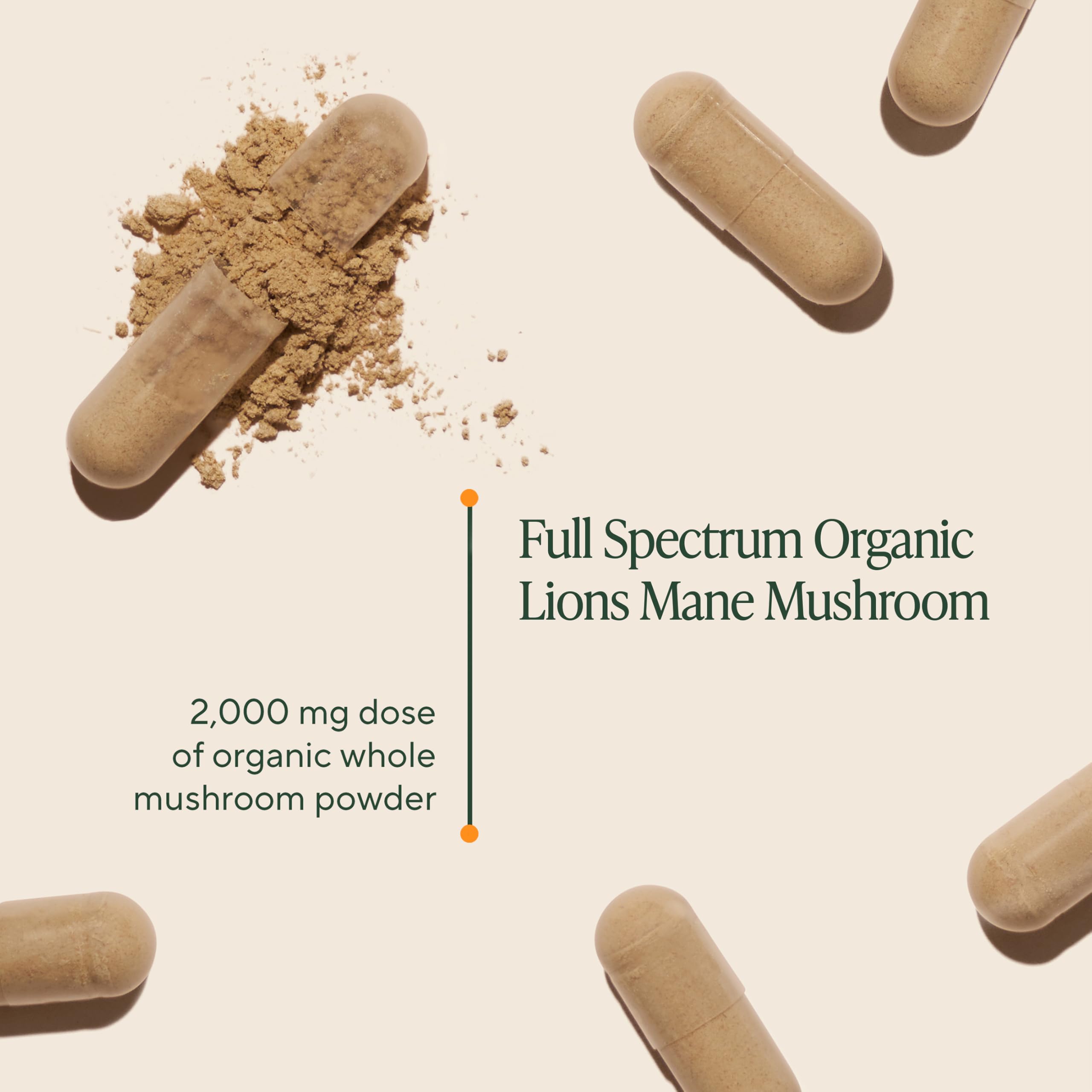 Capsules OM MUSHROOM CRINIÈRE DE LION faciles à avaler, dose quotidienne recommandée de 2 000 mg.