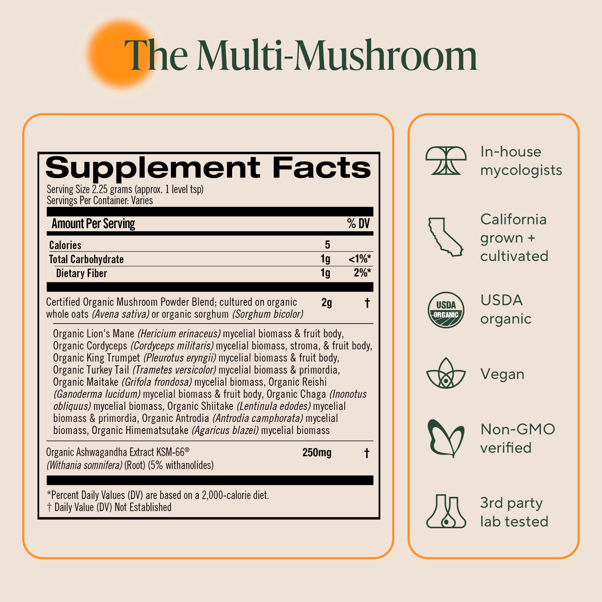 OM MUSHROOM MASTER BLEND: Immunité et digestion – champignons variés pour un soutien potentiel.