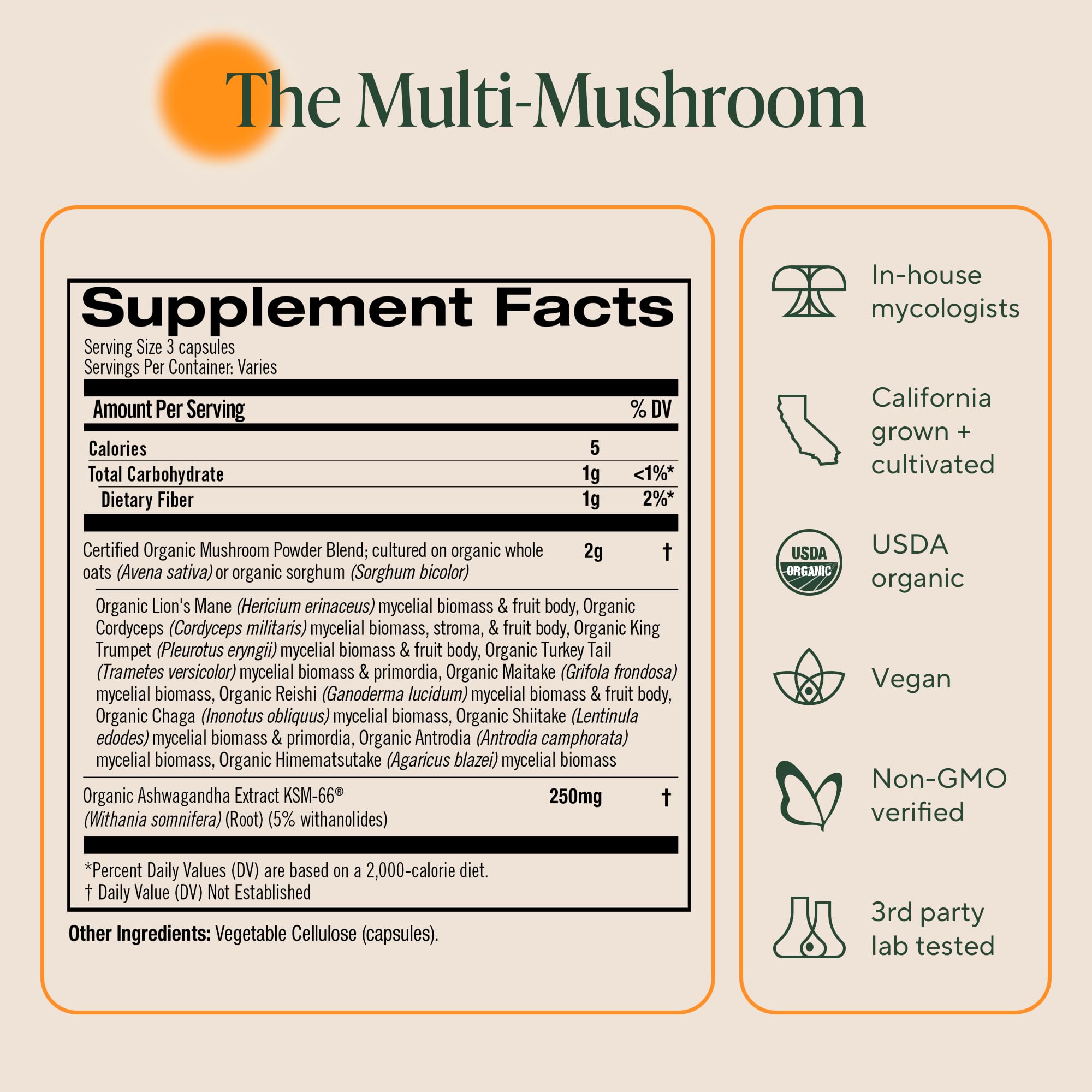 Routine quotidienne avec Om Master Blend, capsules discrètes et pratiques à emporter.
