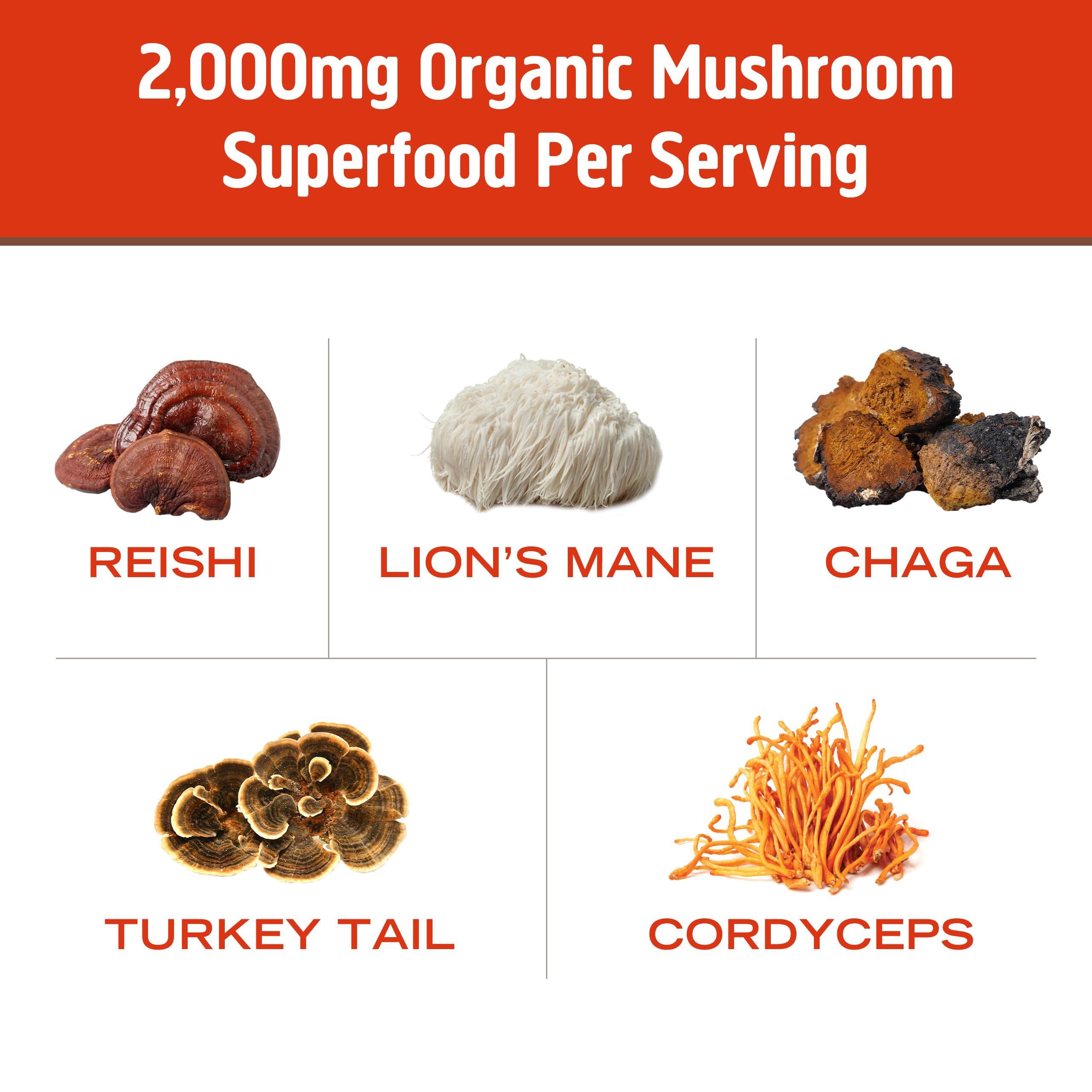 Poudre rhodiola OM MUSHROOM vitamine D2