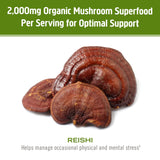 OM MUSHROOM REISHI poudre prête à l'emploi dans boisson chaude ou froide.