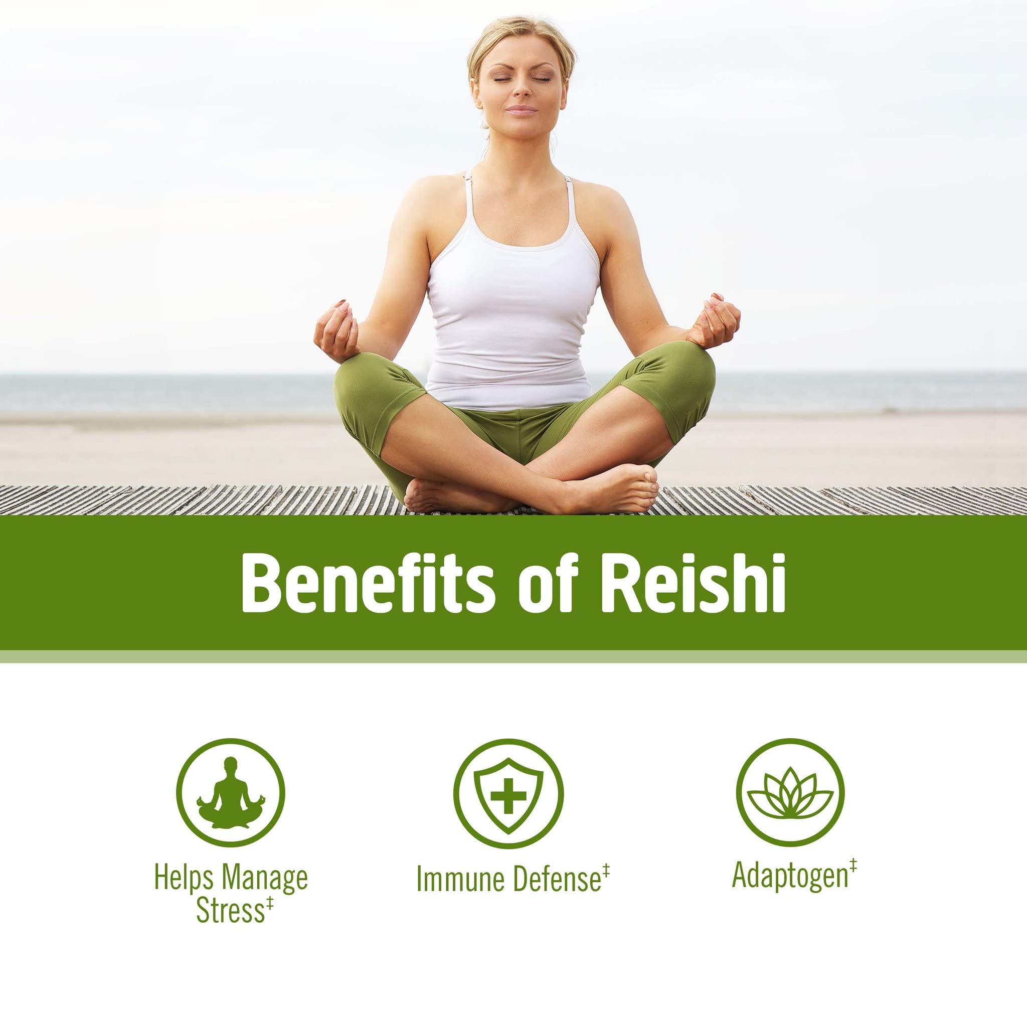 OM MUSHROOM REISHI poudre, cuillère-doseur incluse pour smoothies faciles.