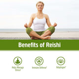 OM MUSHROOM REISHI poudre, cuillère-doseur incluse pour smoothies faciles.