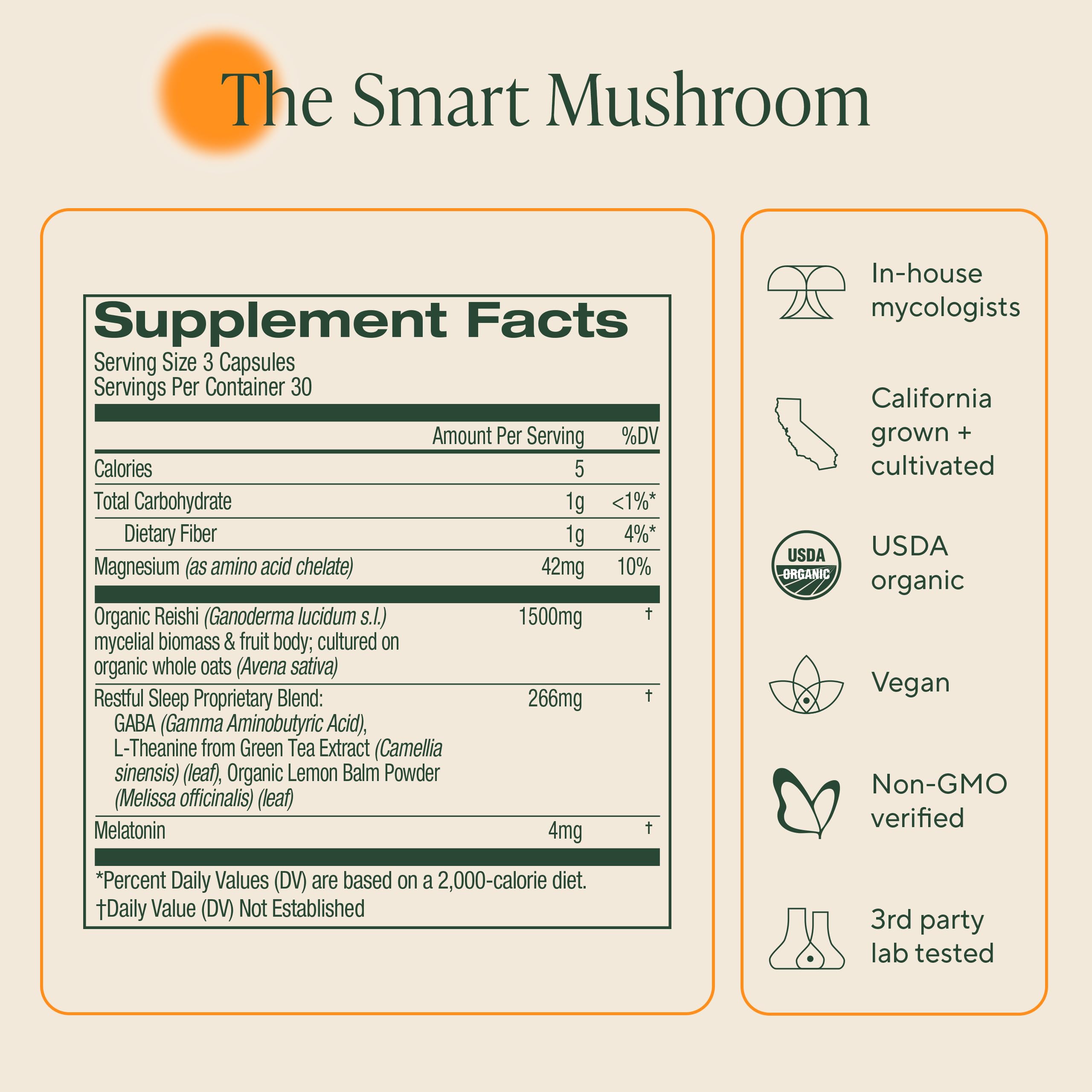 OM MUSHROOM SLEEP test tiers, sécurité et pureté vérifiées