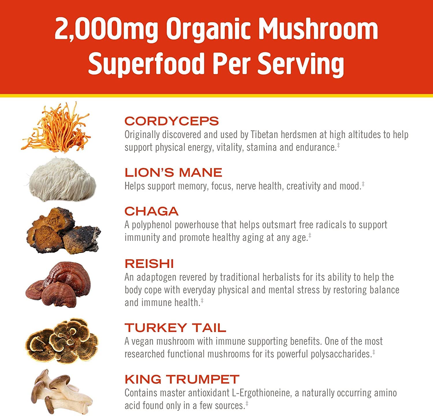 OM MUSHROOM SUPERFOOD Mélange Énergie du Matin: fabriqué en Californie avec contrôles qualité.