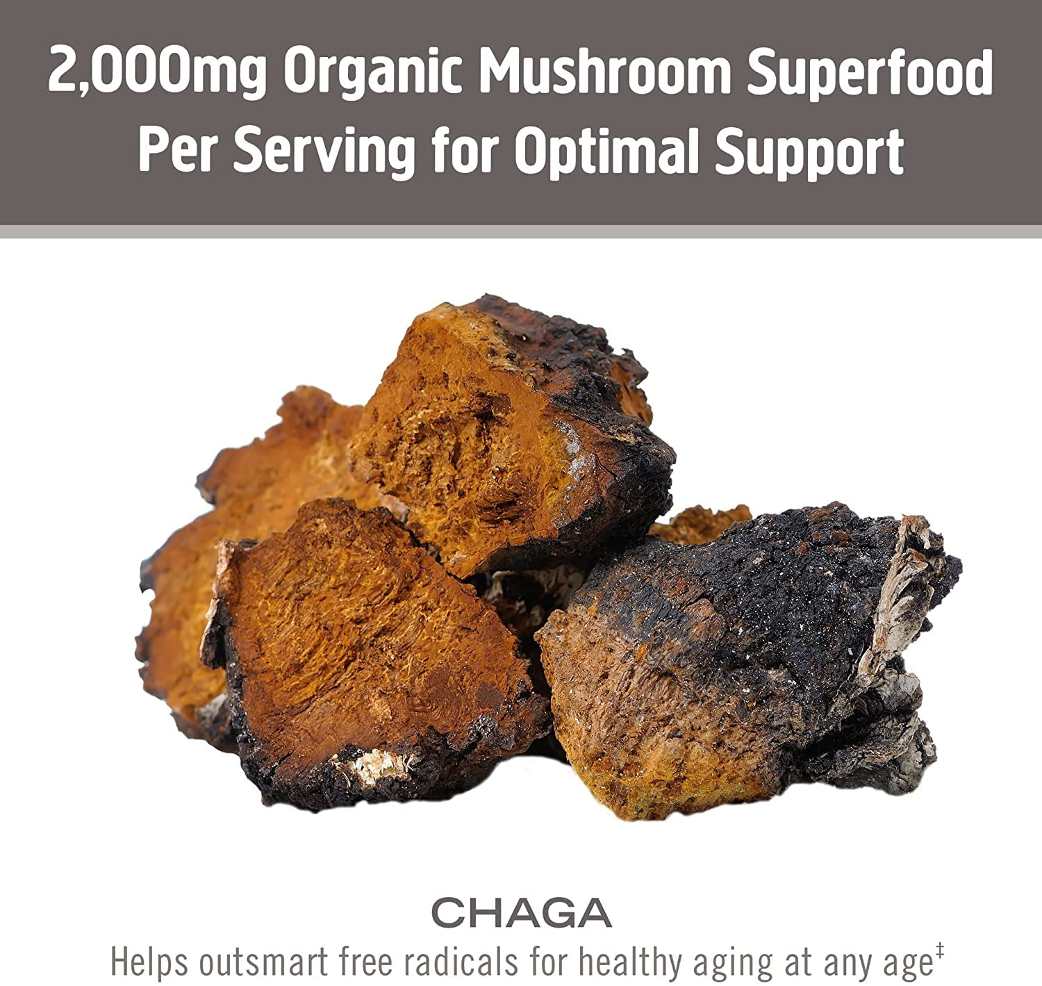 Chaga Om Mushroom Superfood dans un smoothie, apport nutritif agréable