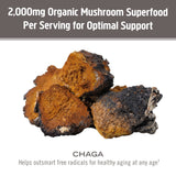 Theiere ou infusion Chaga OM MUSHROOM SUPERFOOD pour une boisson apaisante.