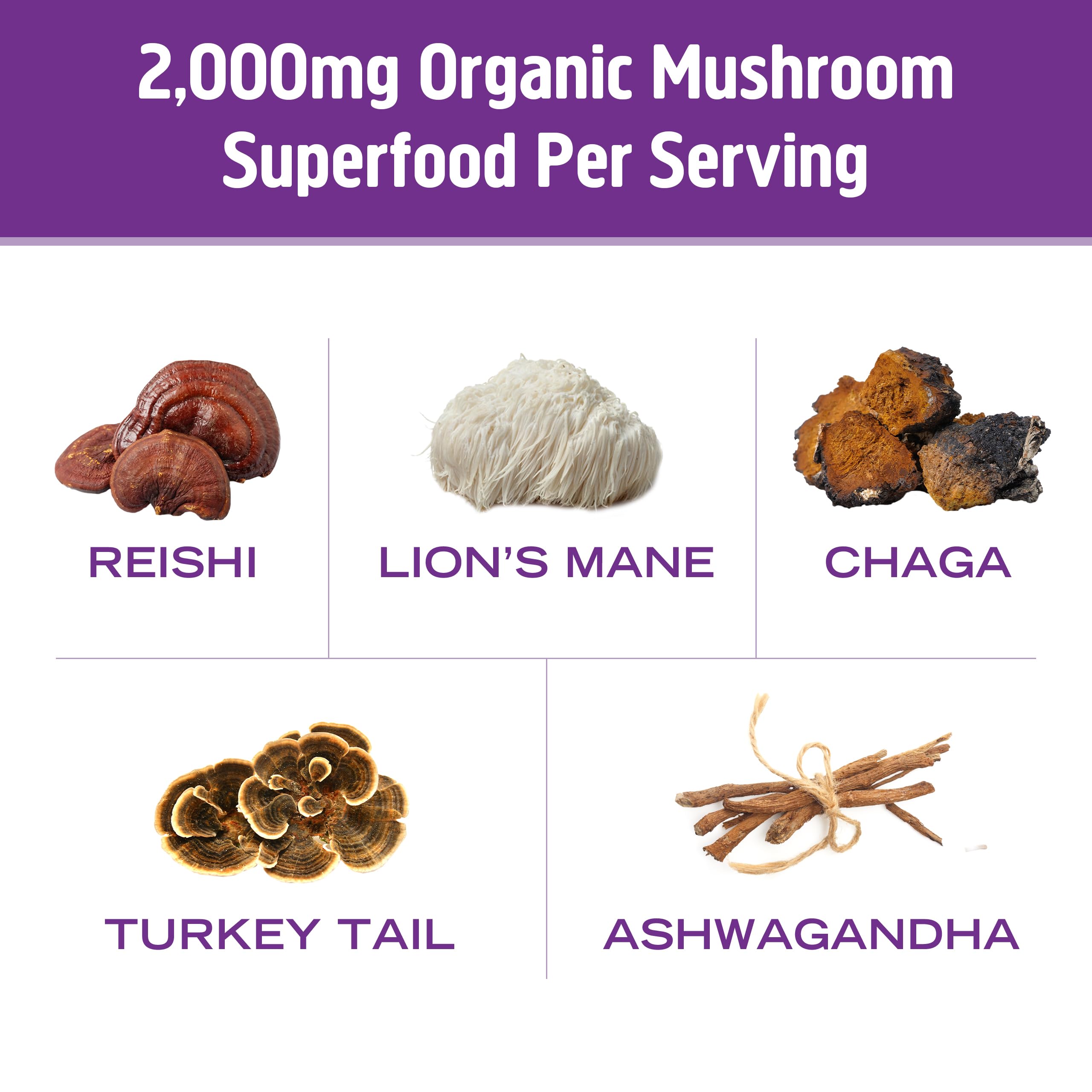 OM MUSHROOM SUPERFOOD Chocolat chaud, étiquette biologique et traçabilité assurée.