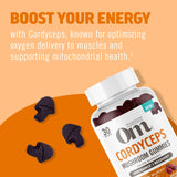 Ingrédients bio et origine USA OM MUSHROOM SUPERFOOD Cordyceps