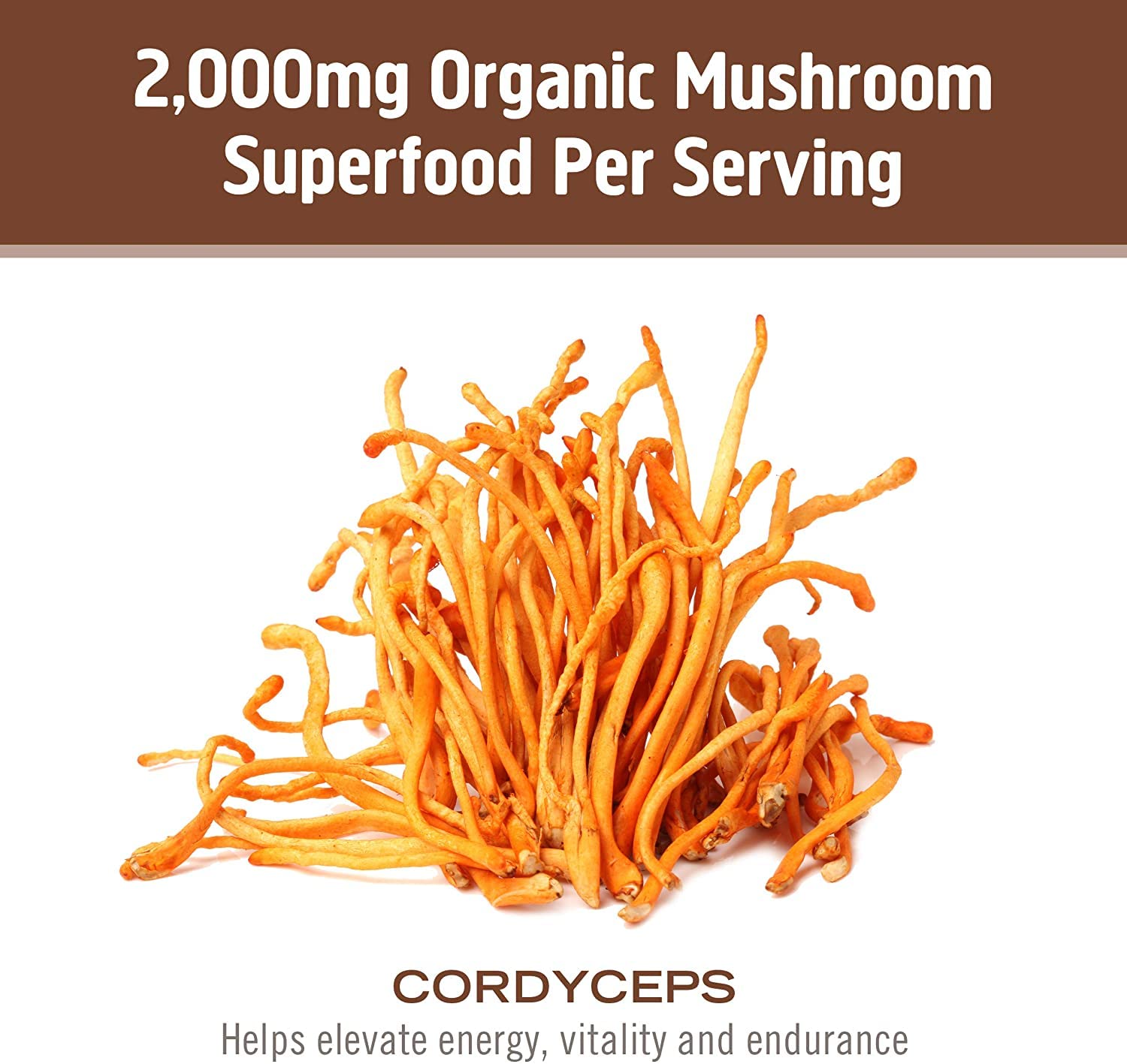 OM MUSHROOM SUPERFOOD Cordyceps – produit américain fabriqué et contrôles tiers
