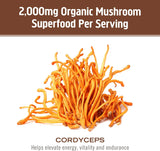 OM MUSHROOM SUPERFOOD Cordyceps – produit américain fabriqué et contrôles tiers
