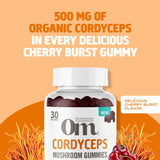 Usage quotidien OM MUSHROOM SUPERFOOD Cordyceps, boost d’énergie léger
