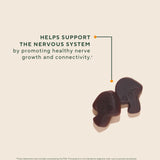 Étiquette claire OM MUSHROOM SUPERFOOD Crinière de Lion indiquant origine et ingrédients.