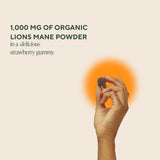 Gommes rouges saveur fraise OM MUSHROOM SUPERFOOD Crinière de Lion prêtes à consommer.