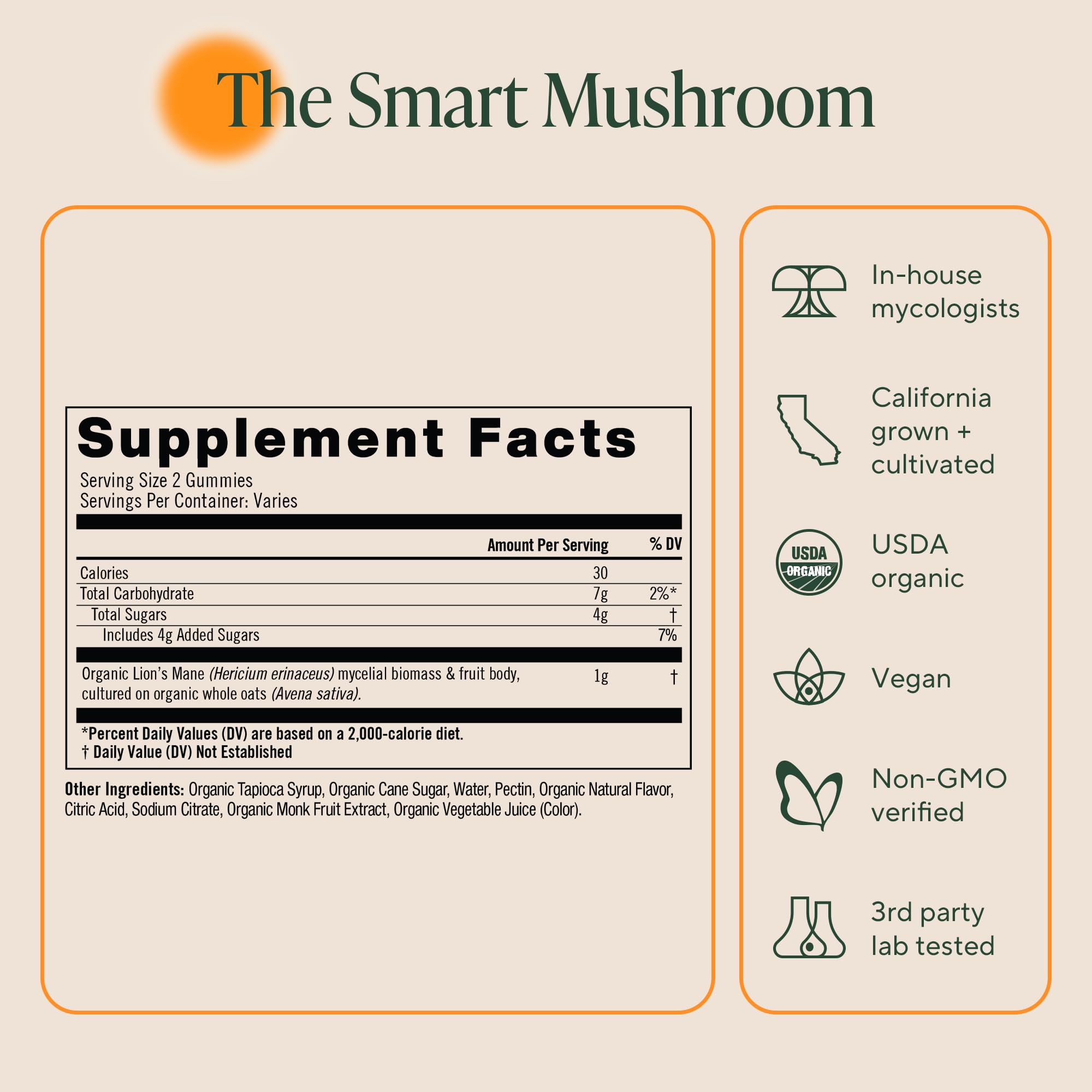 Gros plan sur texture gourmande des gommes Crinière de Lion OM MUSHROOM SUPERFOOD.