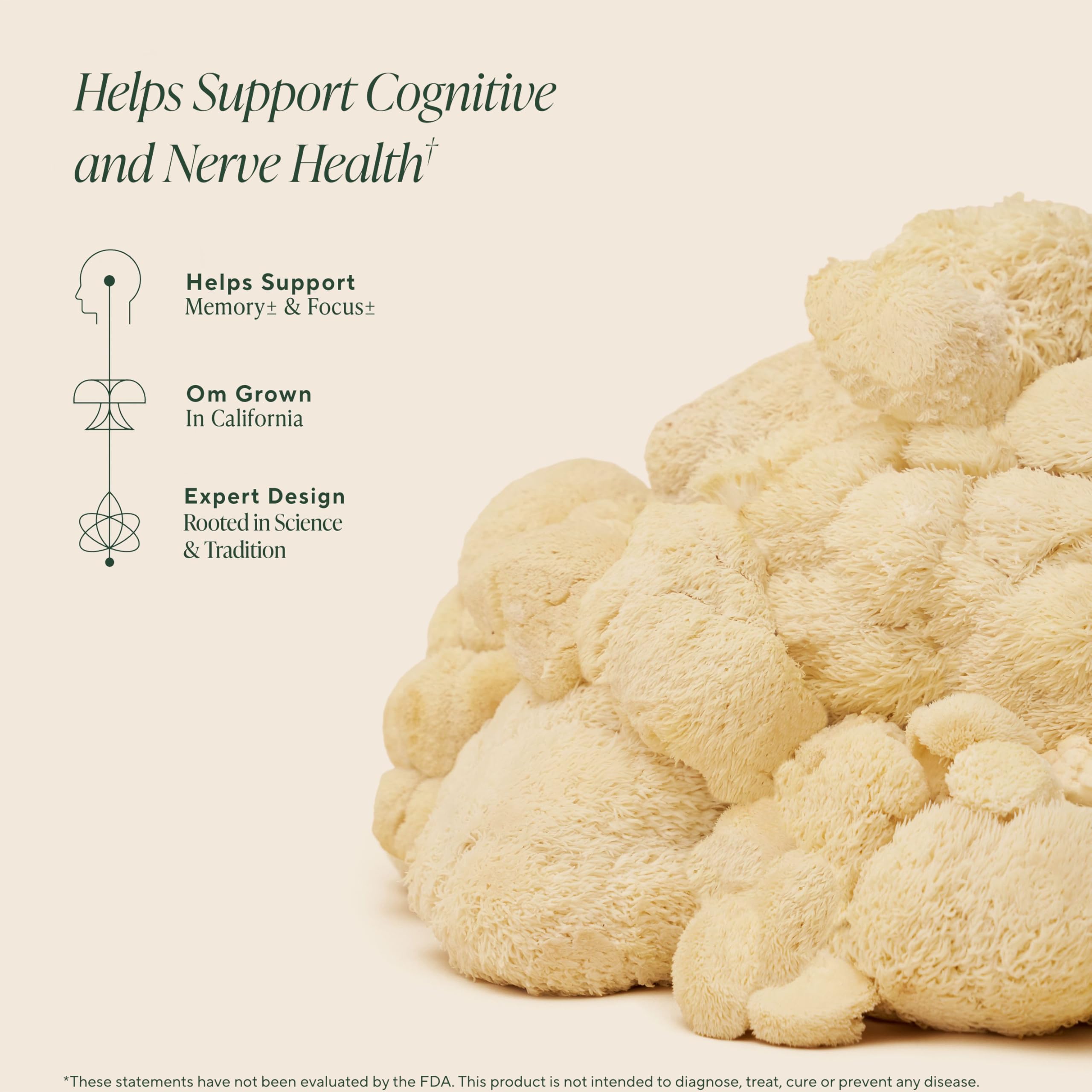 Saveur fraise visible sur gommes OM MUSHROOM SUPERFOOD Crinière de Lion pour dégustation agréable.