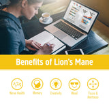 Poudre fermentée Lion's Mane d’OM, vegan et sans gluten, prêt à mélanger